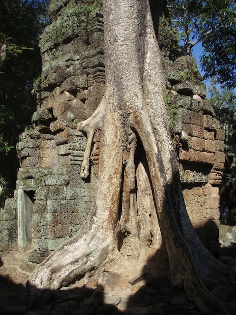 Camboya - Angkor Wat